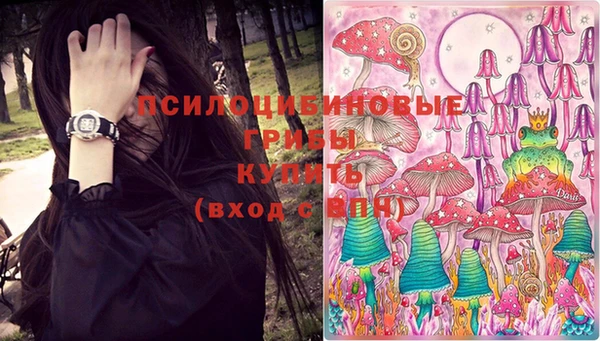 стаф Абинск