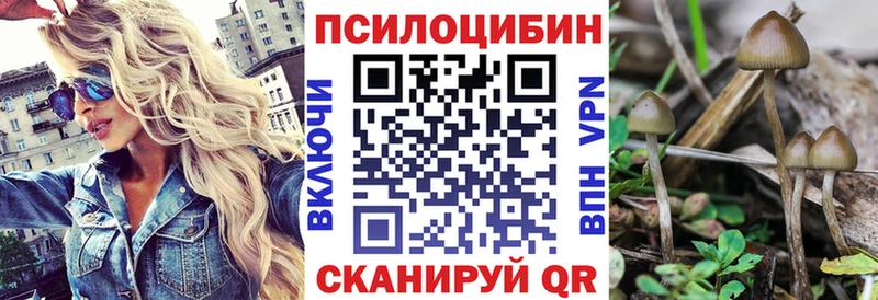 мега рабочий сайт  Губкин  Псилоцибиновые грибы Cubensis  где купить наркоту 